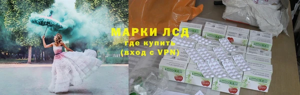 индика Алексин
