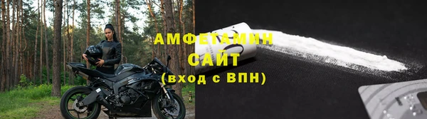 индика Алексин