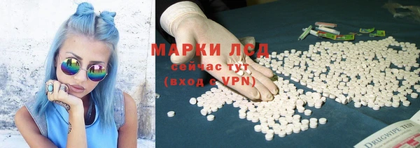 индика Алексин