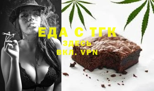 индика Алексин