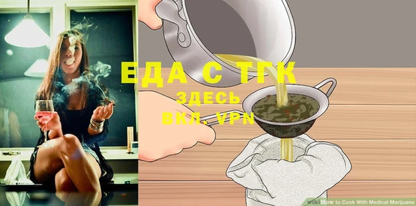 индика Алексин
