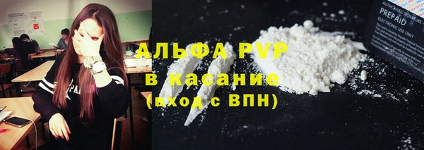 индика Алексин