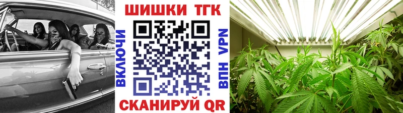 где купить наркотик  Сортавала  Бошки Шишки сатива 